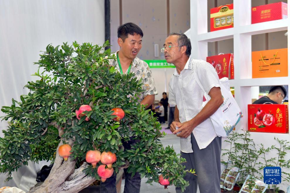 大富豪游戏下载